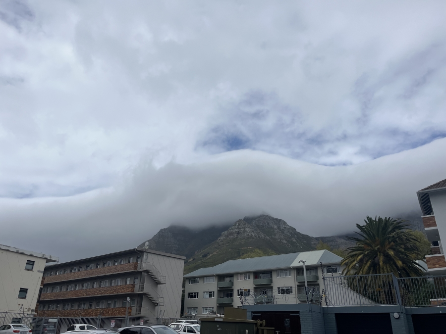 To Let 0 Bedroom Property for Rent in Oranjezicht Western Cape